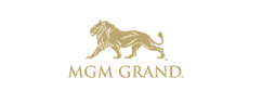 MGM logo Trips & More More